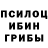 Псилоцибиновые грибы прущие грибы Jordan Cairnes
