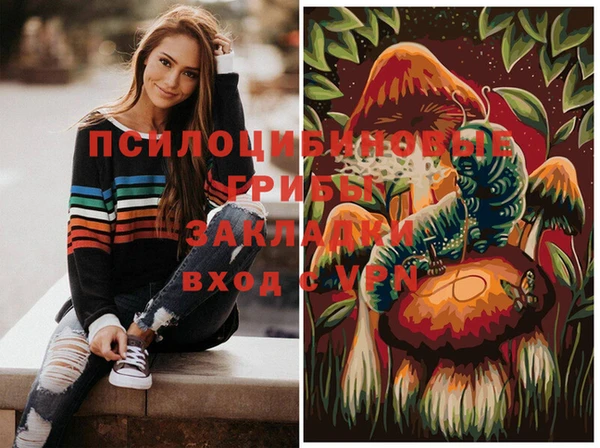 мяу мяу мука Алексин