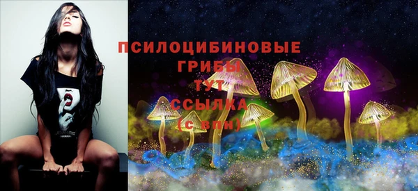 мяу мяу мука Алексин
